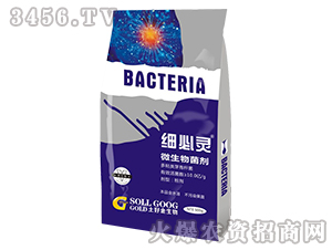 500g΢�������-ϸ����-���ý�