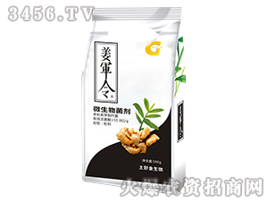 500g΢�������-������-���ý�