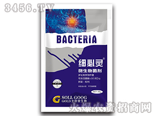 30g΢�������-ϸ����-���ý�