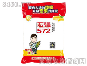 ��ǿ572-�����ӽ���-��˶��ҵ