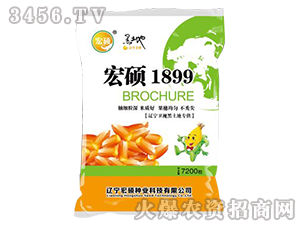 ��˶1899��7200����-�����ӽ���-��˶��ҵ