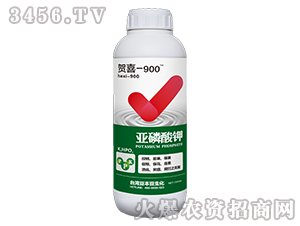 �������-��ϲ-900-̨�嶹����