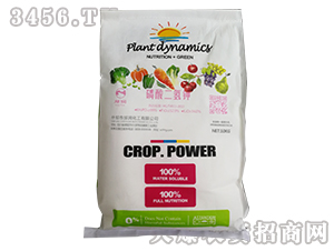 �������أ�10kg��-���󻯹�