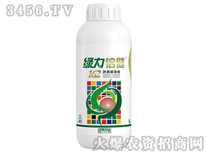 ��������-162���백����-����