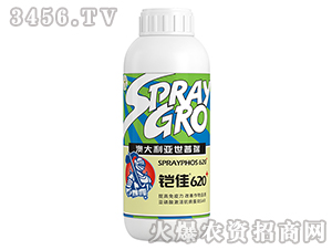 ����620-����