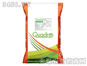 Լ��QUADROˮ�ܷ�-����