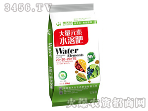 ����Ԫ��ˮ�ܷ�20-20-20+TE-ˮħ��-���컯