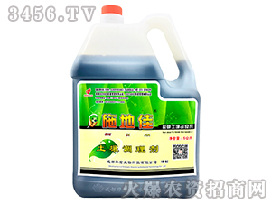 ����������-ʩ�ؼ�-������̬