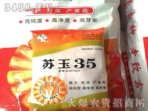 ����35-��������-�߿���ҵ