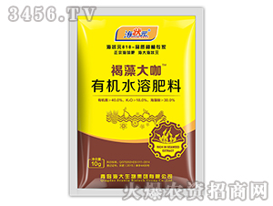 10g�����-��״Ԫ-��������
