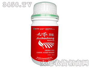 ���޺죨��죩-��������