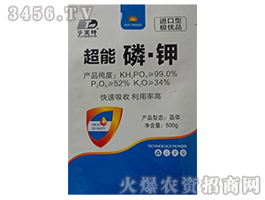 �����ס��أ�500g��-����Ҷ-��Ҷ����