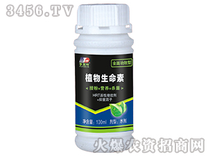 ֲ��������-ȫ�湦Ч��-��Ҷ����