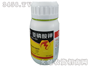 200ml�������-�嵤��