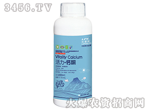 ��������ͪ(200ml��1000ml)-����˹-���ַ�ҵ