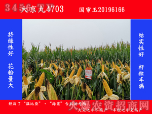 �󾩾�4703-��������-�󾩾�