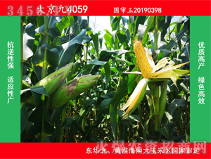 �󾩾�4059-��������-�󾩾�