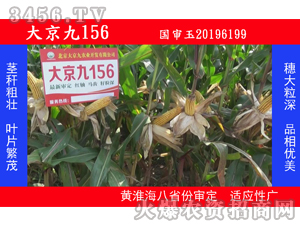 �󾩾�156-��������-�󾩾�