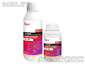 14Ԫ��-Ҷ��-����