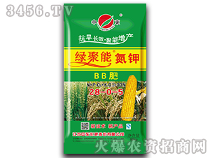 ����BB��28-0-5-�̾���-�ж�