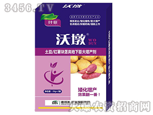 ����/�����龥��������������-�ֶ�-Ҷ��