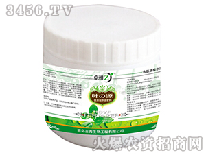 Ҷ֮Դ-����