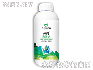 ���塤þ-����-ŵ����