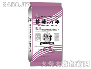 �л��޻���΢Ԫ������һ�������-����������