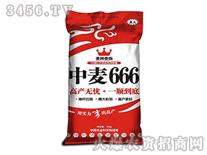 ����666-С������-������ҵ
