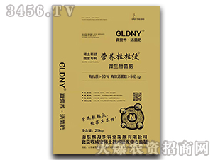 5��΢�������-Ӫ��������-������