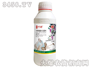 1000g����ֲ��ˮ�ܷ���-��������-ʥ����
