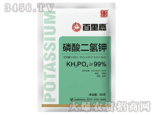 50g��������-�����-ʥ����