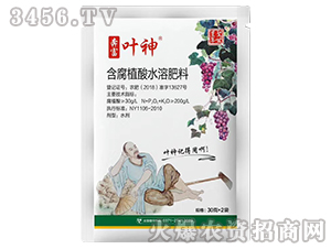 30g����ֲ��ˮ�ܷ���-��������-ʥ����