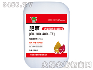 ����Ԫ��ˮ�ܷ�60-100-400+TE-�ʴ�-��ũ����