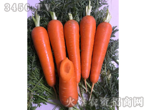 ����1��-���ܲ�����-��ʥ��