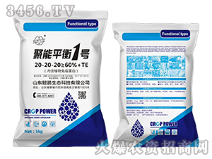 ����ƽ��1��20-20-20+TE-�d��