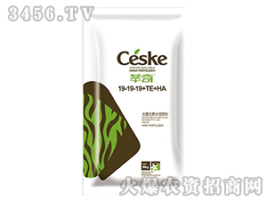 ����Ԫ��ˮ�ܷ���19-19-19+TE+HA-�����