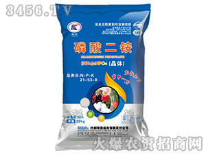�����泥����壩21-53-0-��������