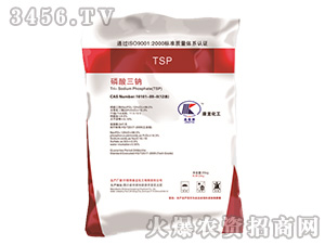 ����������TSP��������