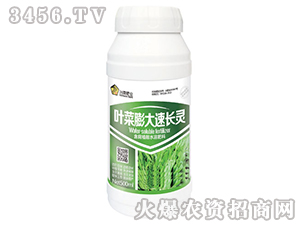 Ҷ������ٳ��飨500ml��-�Ừ��ҵ