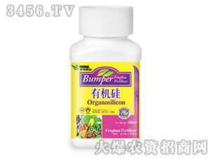 �л��裨100g��-�Ừ��ҵ
