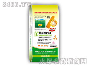 ��ֲ��Ϳ����Ч���ͷ�28-10-12-�м�����
