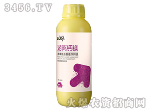 1L�����þ-������