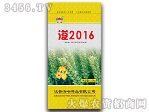 ��2016��12.5kg��-С������-��˶��ҵ