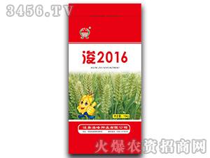 ��2016-С������-��˶��ҵ