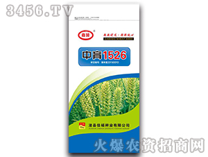 ����1526-С������-��˶