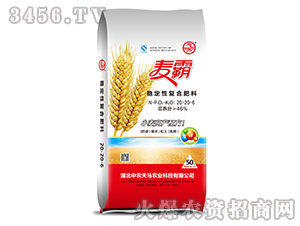 �ȶ��Ը��Ϸ���20-20-6-���-��ũ����