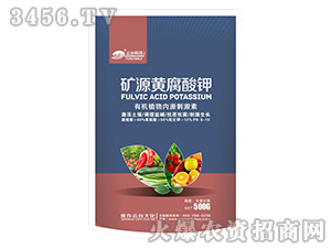1000g��Դ�Ƹ����-��̨��