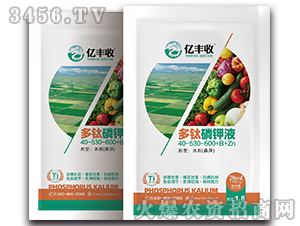 �����׼�Һ40-530-600+B+Zn-�ڷ���-����̩