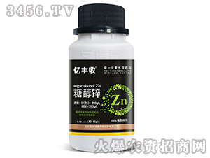 �Ǵ�п-�ڷ���-����̩